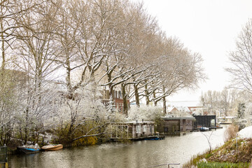 Fototapeta premium Great detail and texture of the trees and vegetation with graphic outlined branches due to snowfall above the floating canal home boats. Weather conditions and white winter landscape.