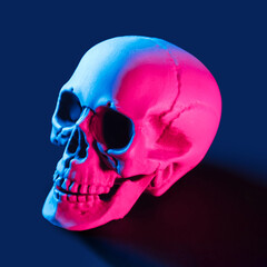 Vapor wave human skull illuminated with pink and teal lights on a dark background. NFT, crypto art,...