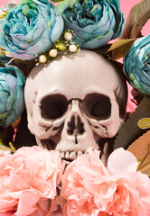 Human skull surrounded with teal and pink flowers. Day of the dead conceptual background.