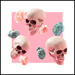 Skulls and flowers against the light pink background with white frame. Blooming life artistic backdrop.