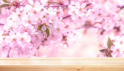 Beautiful branches of blossoming cherries. Beautiful abstract spring background. Flowering in pink. Japan. Sakura. Banner. Copy space