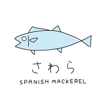 ミニマルなさわら