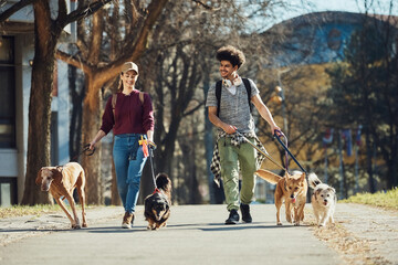 Young pet sitters walking mixed breed dogs on leashes through the park.