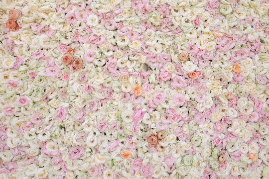 parete di fiori di vario colore