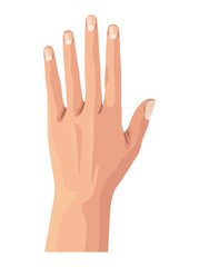 Fototapeta premium hand human open