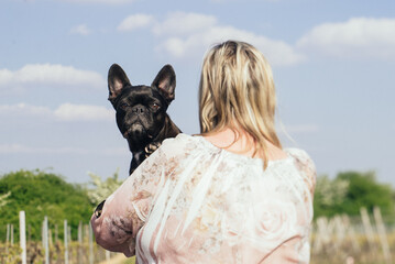 Französische Bulldogge schaut über schulter einer Frau