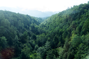 Fototapeta na wymiar Beautiful mountain landscape with trees