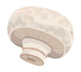 healthy mushroom vegetable