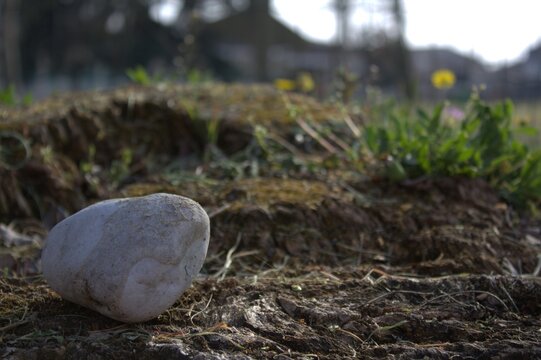 Photo of a rock with blurred background