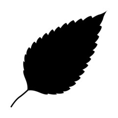 FEUILLE ARBRE