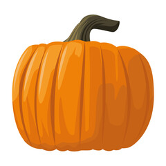 healthy pumpkin vegetable