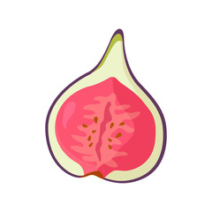 Fig slice. Figs in the cut. Flat vector illustration in cartoon style