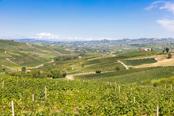 Fototapeta na wymiar Panoramic countryside in Piedmont region, Italy. Scenic vineyard hill close to Barolo city.
