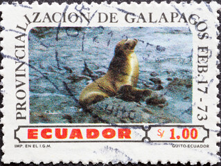 Ecuador - circa 1973: a postage stamp from Ecuador, showing a seal by the water. Galapagos Fur Seal...