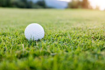 Close up of golf ball on green grass