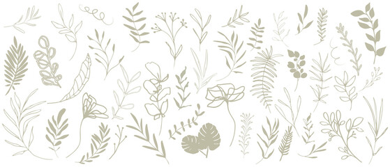 Big hand drawn colorful plant set - universally usable. Botanical, chic and trendy plants. Hand drawn lines, elegant leaves for your own design. Flower branch and minimalistic modern plants.