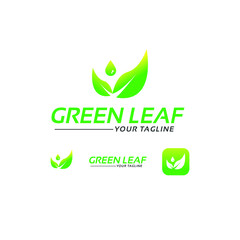 green eco logo,leaf logo design ,natural logo