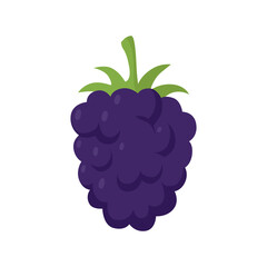 Blueberry berry. Flat vector illustration in cartoon style