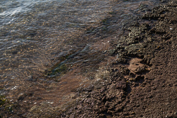 Rocks of dead coral swept by waves at white sand beach