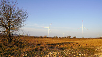 Photograph of electricity generating wind turbines installed in a windy area.