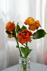 Orange roses with falling leaves in a glass bottle on the table. The concept of passing time. old flowers. Lost chic. Vertical orientation.