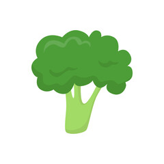 Broccoli, vegetable. Flat vector illustration in cartoon style