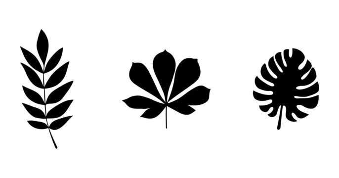 Collection of isolated leaf silhouettes. Vector icons.