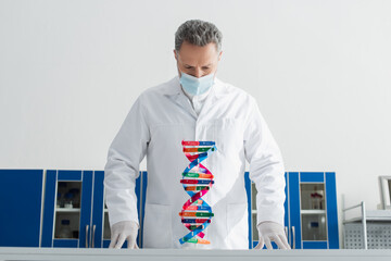 grey-haired geneticist in white coat looking at dna model in bio laboratory.