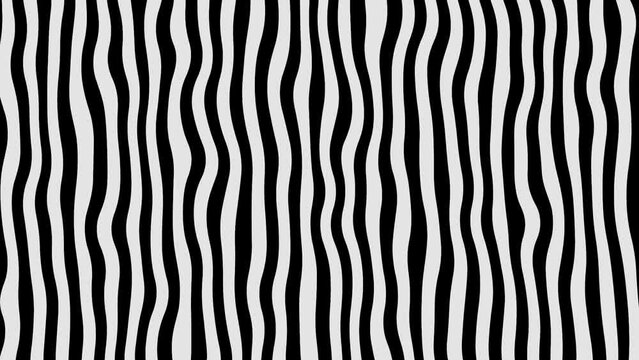 zebra stripe pattern loop animation