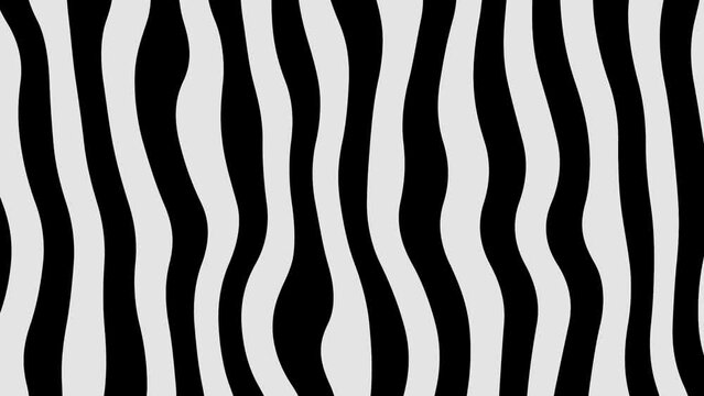 zebra skin pattern loop animation