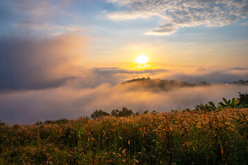 Landscape from the top of mountain on sunrise with misty in morning at Phu Lam Duan, Pak Chom District, Loei Province, Thailand