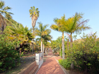 Conception garden, Jardin la concepcion in Malaga with palm trees alley, Spain, Europe