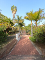 Obraz premium Conception garden, Jardin la concepcion in Malaga with palm trees alley, Spain, Europe