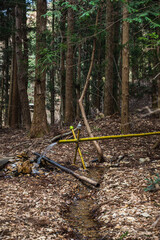 山ノ神自然園　女神様の水