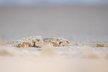 górka kupka złotego piasku na plaży - obrazy, fototapety, plakaty