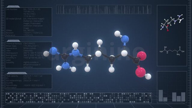 Molecule of arginine with infographics on the computer monitor, loopable 3d animation