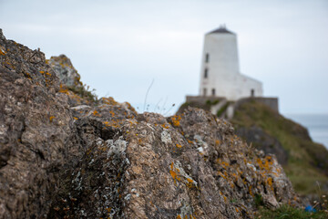 Fototapeta na wymiar Focus on rocks, with an out of focus Tŵr Mawr Lighthouse at Ynys Llanddwyn, Anglesey, on the north Wales coast