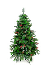 Christmas tree isolated white background, for print