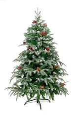 Christmas tree isolated white background, for print