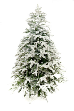 Christmas tree isolated white background, for print
