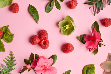 Creative summer natural pattern against pastel pink background. Garden leaves, flowers and raspberries. 