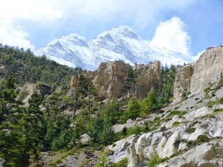 Beautiful landscape in the Himalayas mountains in Nepal. Awesome Himalayan snow view. Scenic rocks and pine forest near Annapurna range.