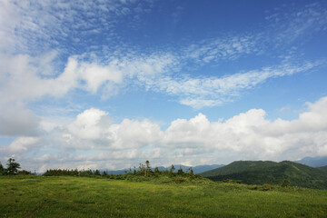 Obraz na płótnie Canvas field and blue sky