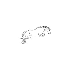 horse line logo vector design