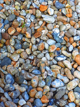 Multi coloured pebbles in a garden patio area
This is a weed retardant way of keeping a low maintenance garden as they cover over a black under layer of fabric.
