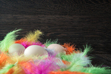 wielkanocne jajka w kolorowych piórach z miejscem na kopie - obrazy, fototapety, plakaty