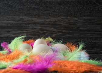 wielkanocne jaja w kolorowych piórach na ciemnym tle z miejscem na kopie - obrazy, fototapety, plakaty