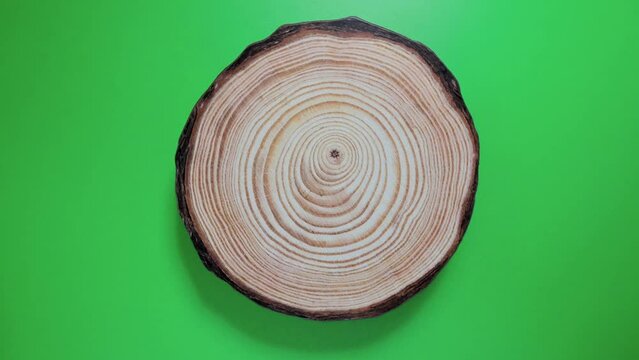 isolated cross section of tree branch with rings
