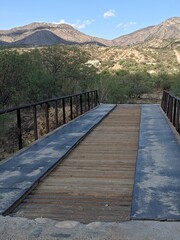 Fototapeta premium wooden bridge over lake
