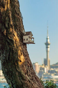 Vogelhaus und Skytower